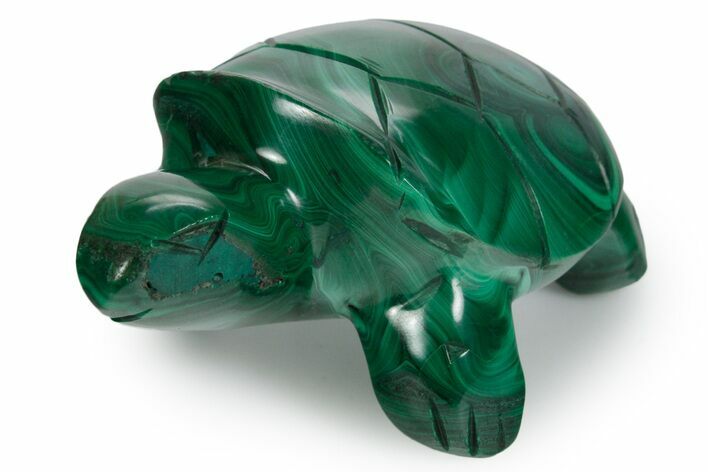 Flowery Malachite Turtle Carving - DR Congo #349311